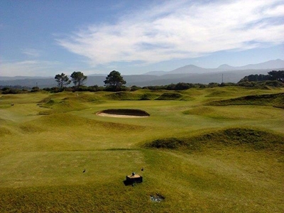 Professional golfers to play Sedge Links
